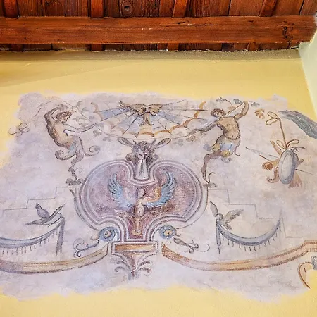 San Lorenzo By San Collection